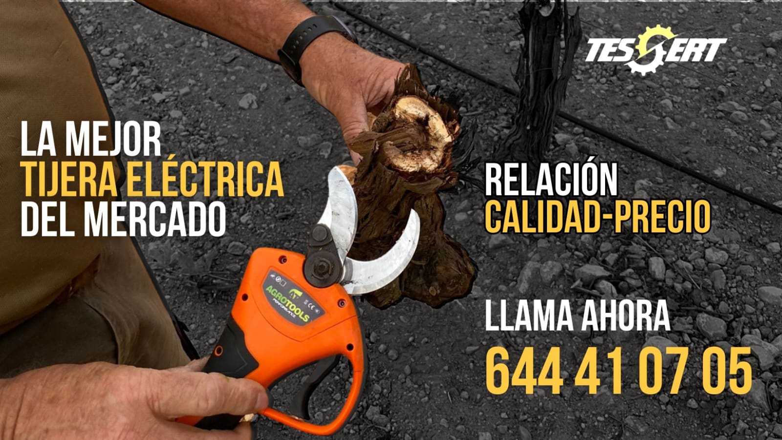 Tijera Performance - Imagen 2